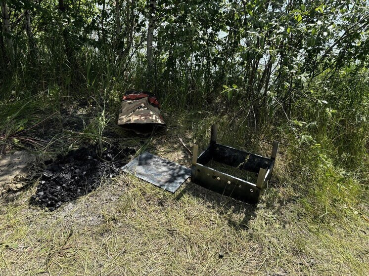 Из-за высокой пожарной опасности в Новосибирске запрещено жечь костры