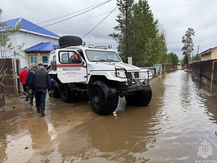 37 затопленных дачных участков освободились от воды за сутки в Тарко-Сале