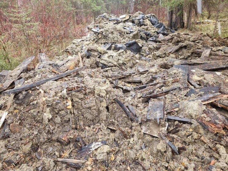 Прокуратура добилась ликвидации свалки в Зиминском районе