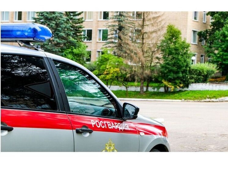 Смоленские росгвардейцы задержали магазинного вора
