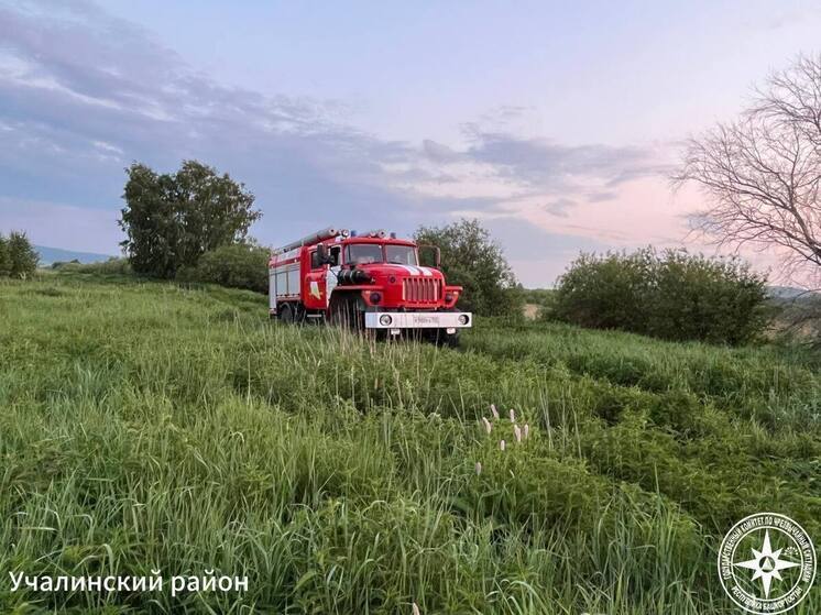 В Башкирии горела сухая трава в двух районах