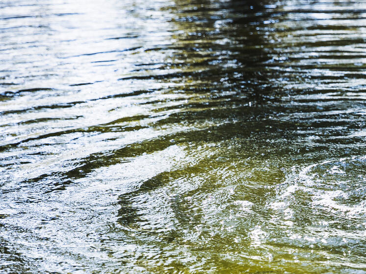 Спасатели в Томске нашли тело утонувшего мужчины в Томи