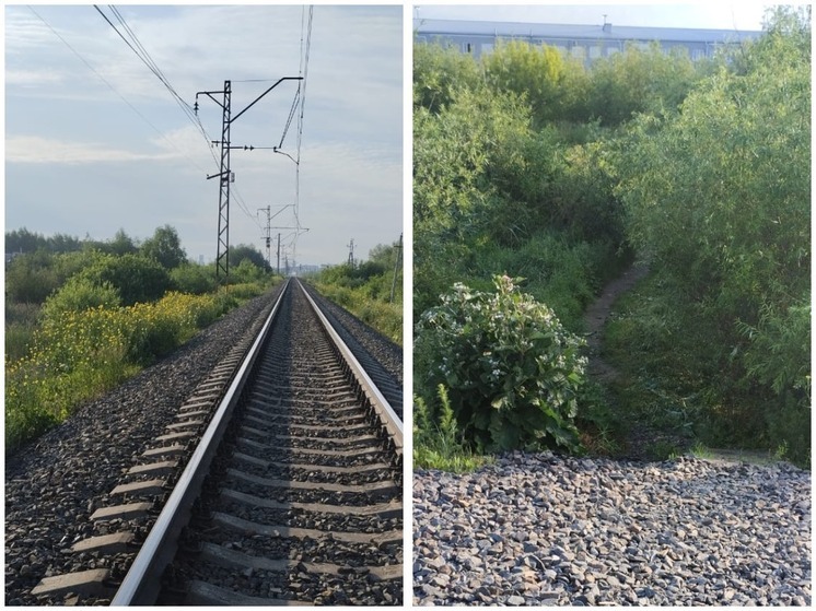 Женщина погибла под колёсами пассажирского поезда на окраине Омска