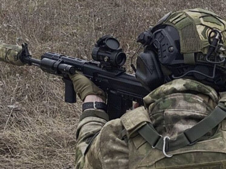 Зеленый кут в ДНР перешел под контроль армии РФ