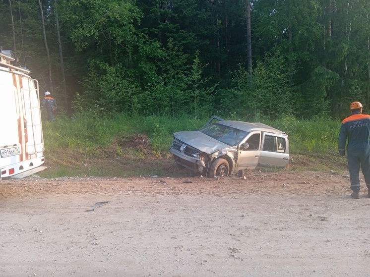 Автоавария унесла жизнь водителя в Вытегорском округе