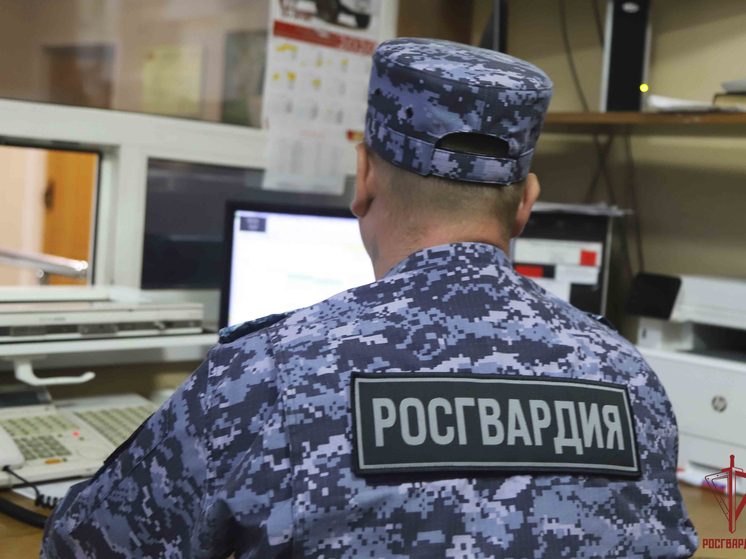 Тульская Росгвардия пресекла около 50 правонарушений за прошлую неделю