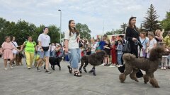 В Тамбове в День города прошел Фестиваль домашних животных