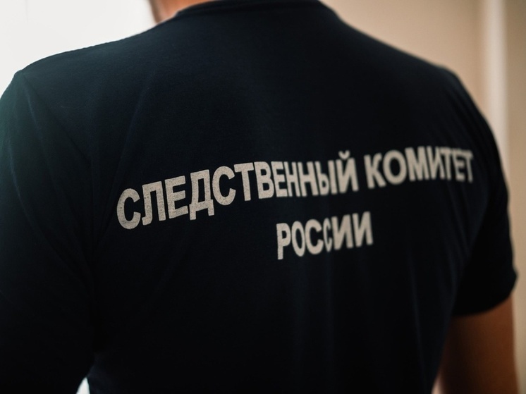 Глава СКР проконтролирует дело о подростках-мигрантах с ножами в Калужской области