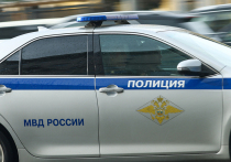 Удостоенный правительственных наград вице-президент федерации боевых искусств столицы Роман Грузинов был расстрелян из травматического оружия недалеко от детского сада на северо-западе Москвы 14 июня