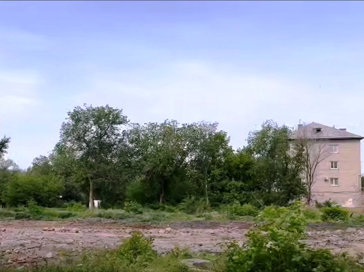 В Энгельсе появится эко-парк