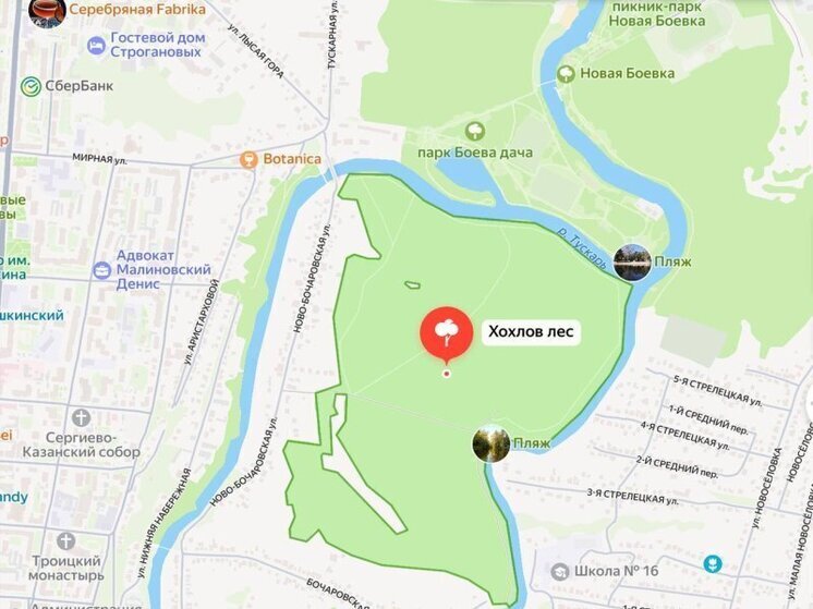 В Курске планируют ландшафтную революцию в урочище Хохлов лес