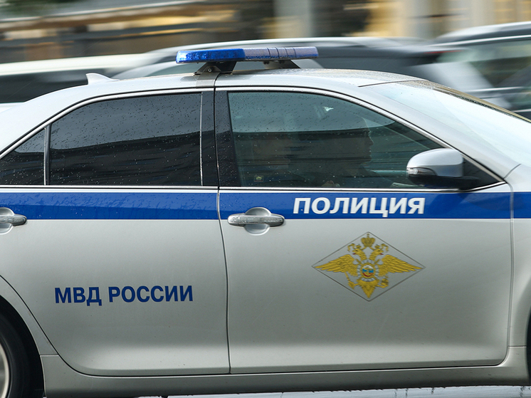 Удостоенный правительственных наград вице-президент федерации боевых искусств столицы Роман Грузинов был расстрелян из травматического оружия недалеко от детского сада на северо-западе Москвы 14 июня