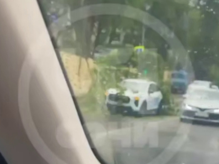 На трассе Джубга-Сочи дерево упало на автомобиль из-за сильных дождей