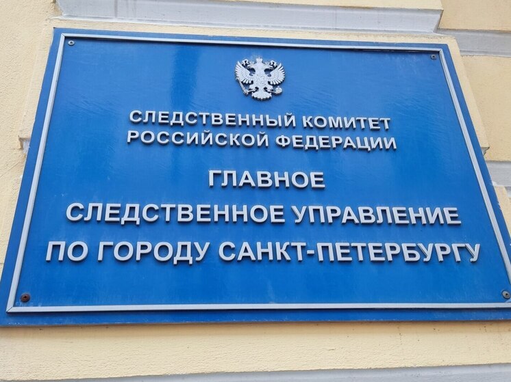 СК проверит хулиганство в отношении залитого перцовкой юного петербуржца