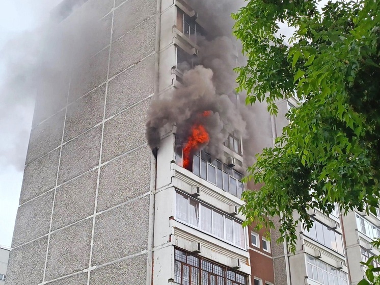 На Елизавете сгорела квартира в десятиэтажном доме