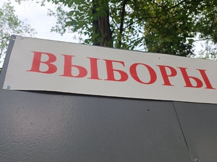 Назначена дата дополнительных выборов депутата Закдумы Хабаровского края