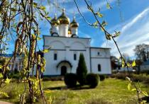 В понедельник, 16 июня, у православных начинается Петров пост — один из четырёх многодневных периодов воздержания в церковном году