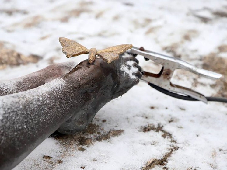 Ножку пятигорской «Курортницы» снова украсили бабочкой