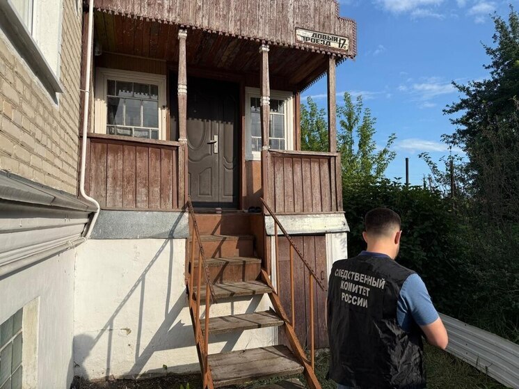 Заключен под стражу подозреваемый в убийстве пенсионерки в Мичуринском районе