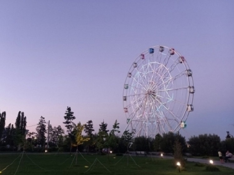 В ЦПКиО Волгограда деревья украсили вязаными граффити