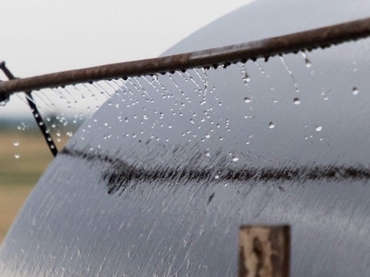 Дождь при +29 градусах ожидается в Астраханской области 16 июня