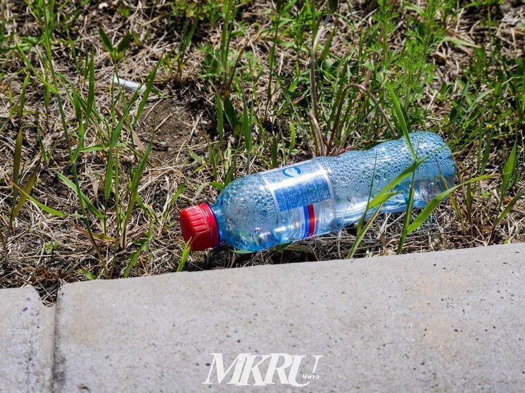 Пять несанкционированных свалок вывезли за выходные дни в Чите