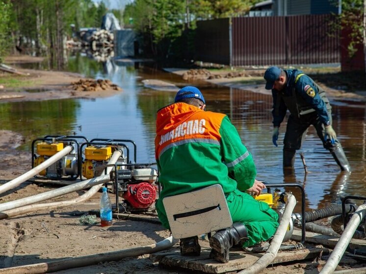 Больше 40 затопленных дачных участков освободились от воды за сутки в Тарко-Сале