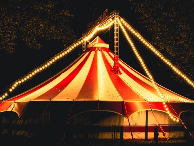 The State Duma may consider a bill banning the sale of animals to circuses