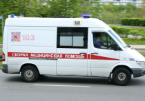 На 290-м километре федеральной автодороги М-7 «Волга» в Вязниковском районе Владимирской области произошло дорожно-транспортное происшествие с участием двух легковых автомобилей, минивэна Renault и автобуса, следовавшего по маршруту Чебоксары — Москва