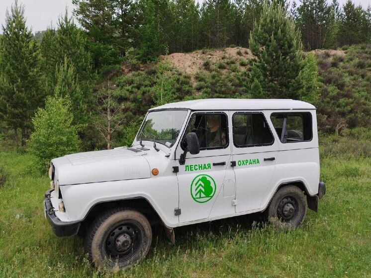 В минлеса Хакасии отчитались о пожарах за длинные выходные