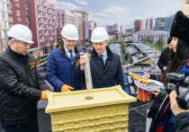 В 2025 году реализация мастер-планов городов Дальнего Востока заметно ускорилась — многие проекты уже выходят за пределы чертежей и получают реальное воплощение. Это и крупные социальные объекты, и новое комфортное жильё. 