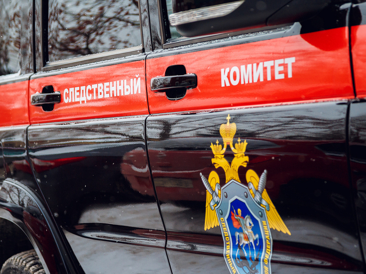 Жителя Кузбасса обвиняют в призывах к терроризму