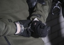 Сотрудники УФСБ по Приморскому краю пресекли деятельность организованной преступной группы, пытавшейся реализовать крупную партию героина массой 8,5 кг