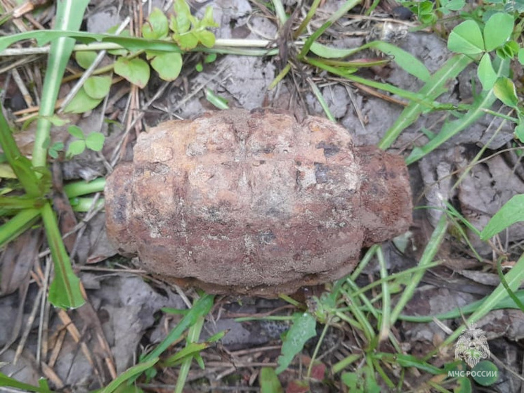 Под Юхновом нашли гранату