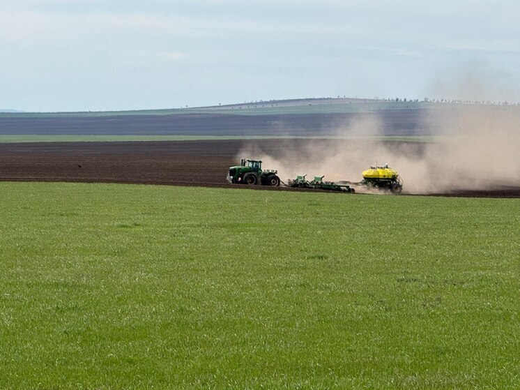 В Хакасии до окончания посевной остались считанные дни