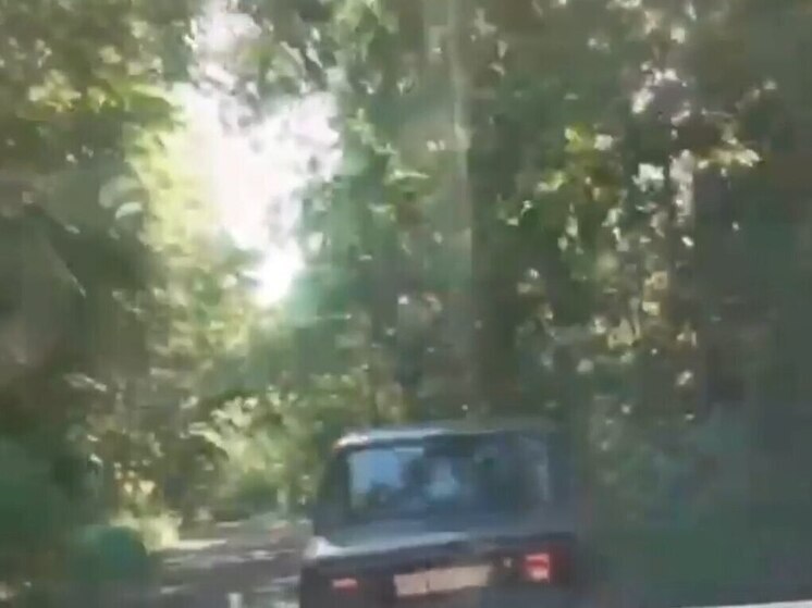 Полиция Петербурга стреляла по колесам в погоне за подростком на «Жигулях»