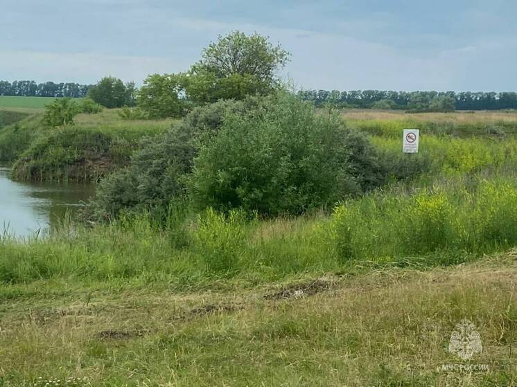 В пруду села Рунга в Татарстане утонул при купании пьяный мужчина
