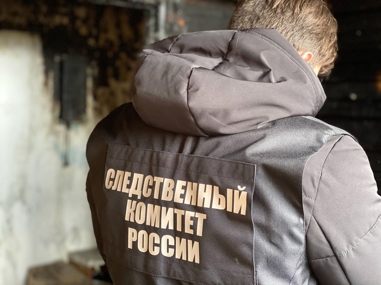 Валдайские следователи выяснят обстоятельства смертельного пожара в Крестцах