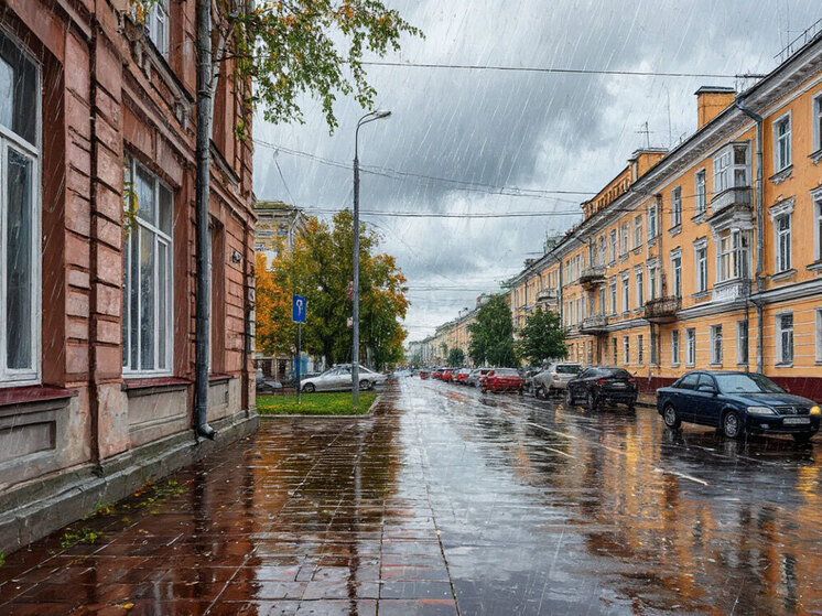 В Чебоксарах к середине июня уже выпала месячная норма осадков