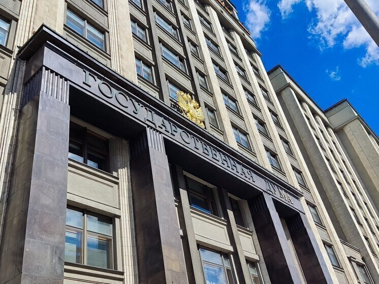 Депутат Журова: Самуэльссон своими словами о России стелет соломку на будущее