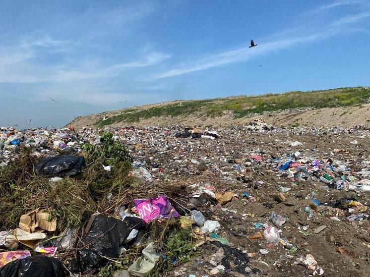 Убийство в Новосибирске: в общежитии расчленили труп женщины