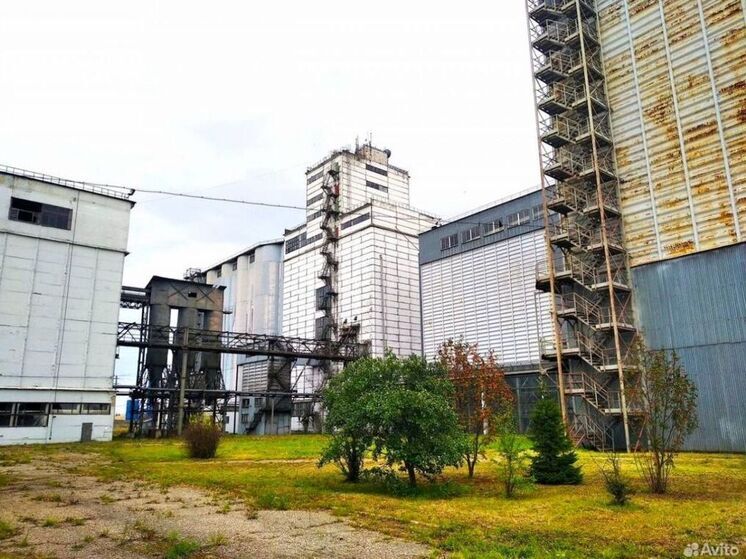 В Ивановской области продается завод по производству комбикормов