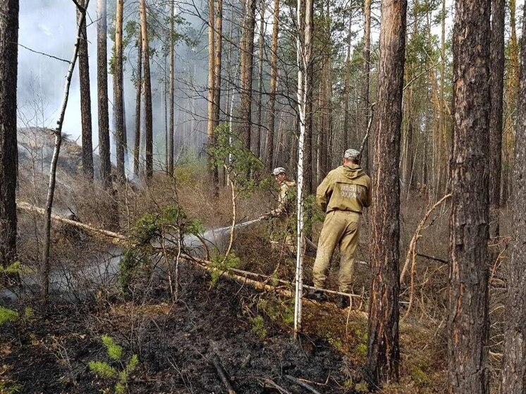 Лесные пожары в Приангарье потушены за длинные выходные