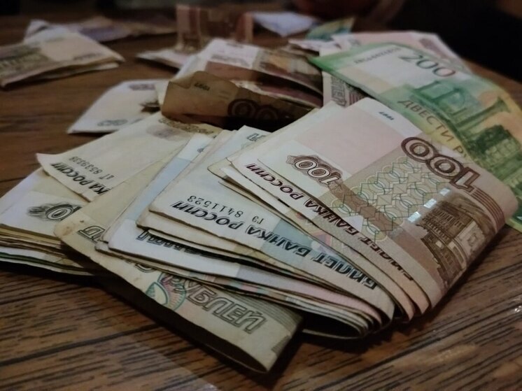 Петербуржец попытался купить попону для лошади «дублями» из банка приколов