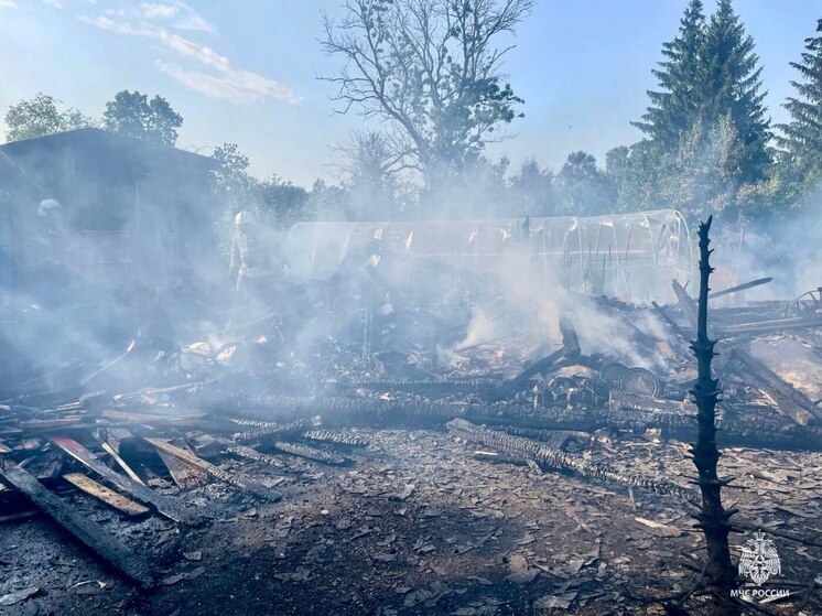Жилой дом спасли пожарные в Изборске
