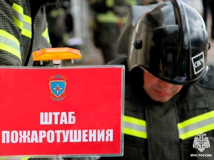 В Запорожской области огнеборцы потушили более 200 пожаров за неделю