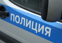 Стали известны подробности обнаружения двух трупов на поле неподалеку от кладбища в Дмитровском городском округе