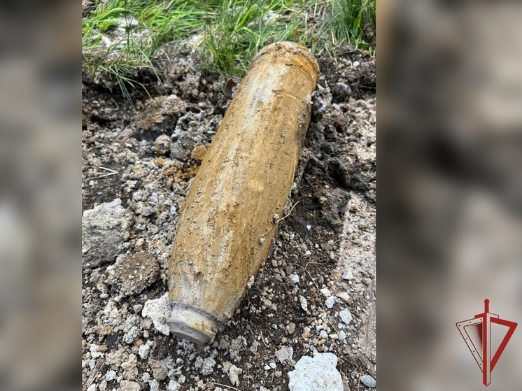 В Хабаровске рабочие нашли боеприпас