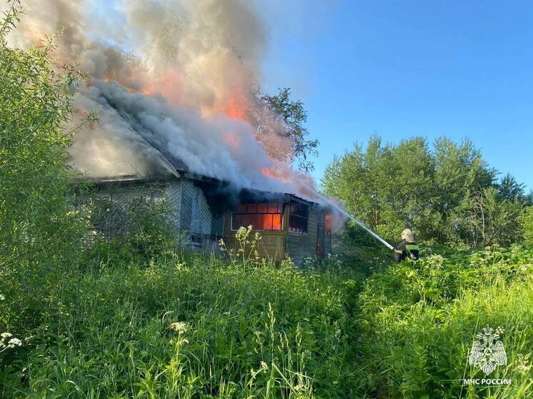 В деревне в Тверской области горел заброшенный дом
