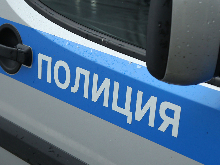 Стали известны подробности обнаружения двух трупов на поле неподалеку от кладбища в Дмитровском городском округе